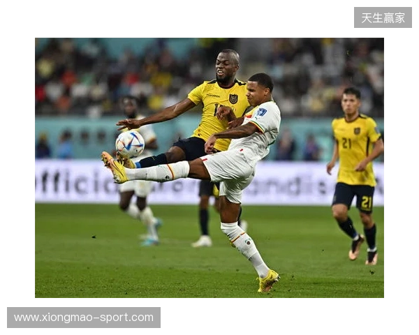 巴尔韦德：卡塔尔世界杯我没拿出最好状态，这届一定会拼到底